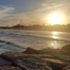 alice_leong alice_leong